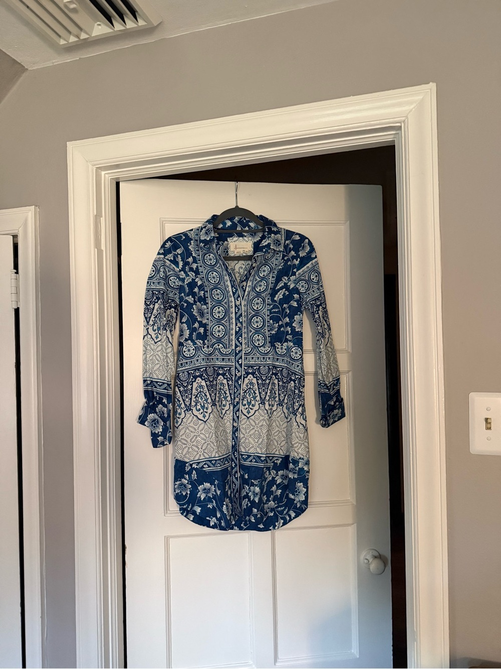 Anthropologie Blue and White Printed Button-Front Mini Dress